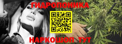 мет Новозыбков