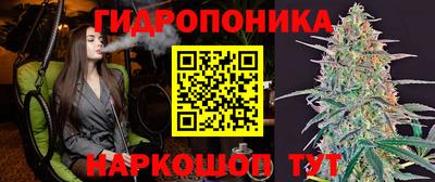 мет Новозыбков