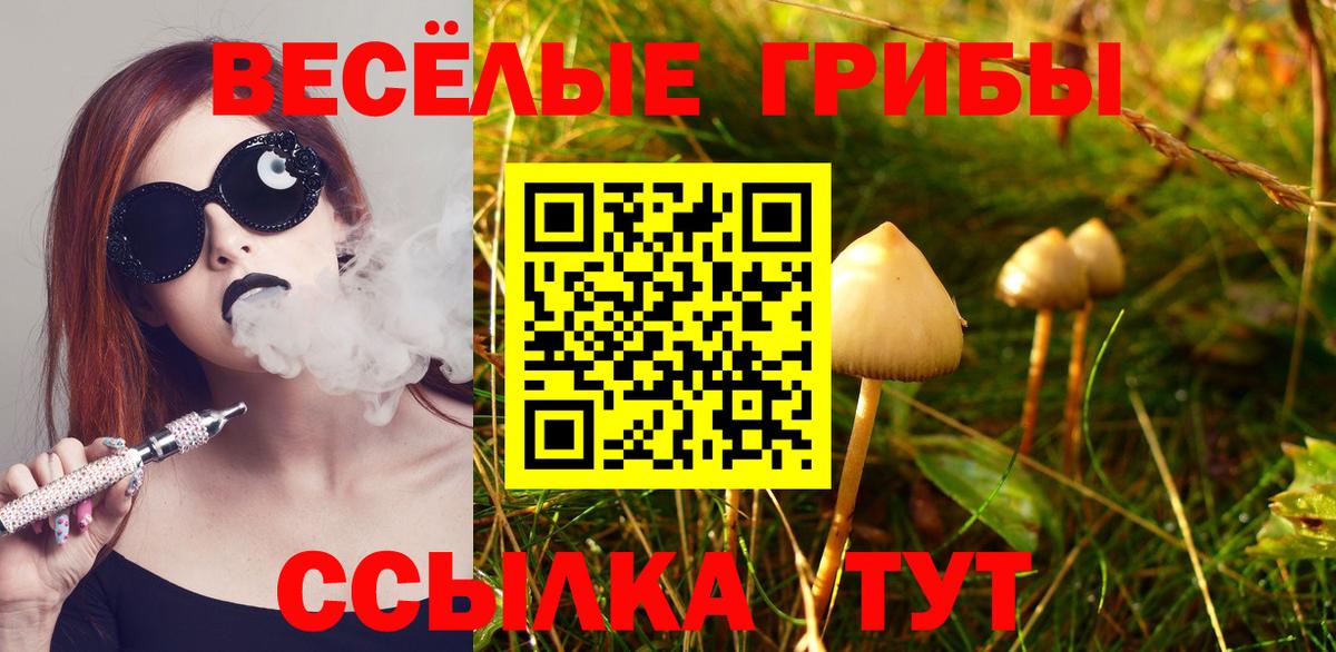 Псилоцибиновые грибы мухоморы Ржев
